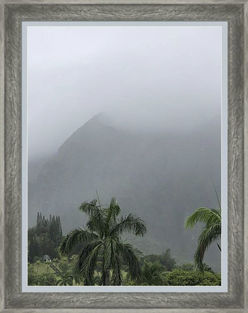 Nature's Shroud