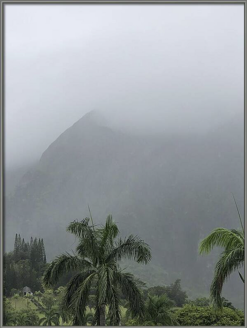 Nature's Shroud
