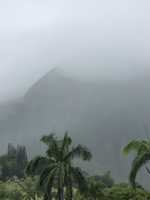 Kaneohe Fog - Photography by Laura Ramirez