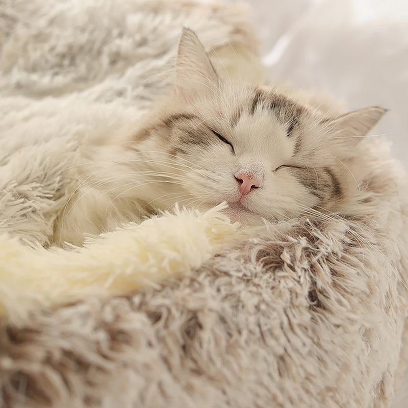 Luxury Semi-Enclosed Plush Cat Bed