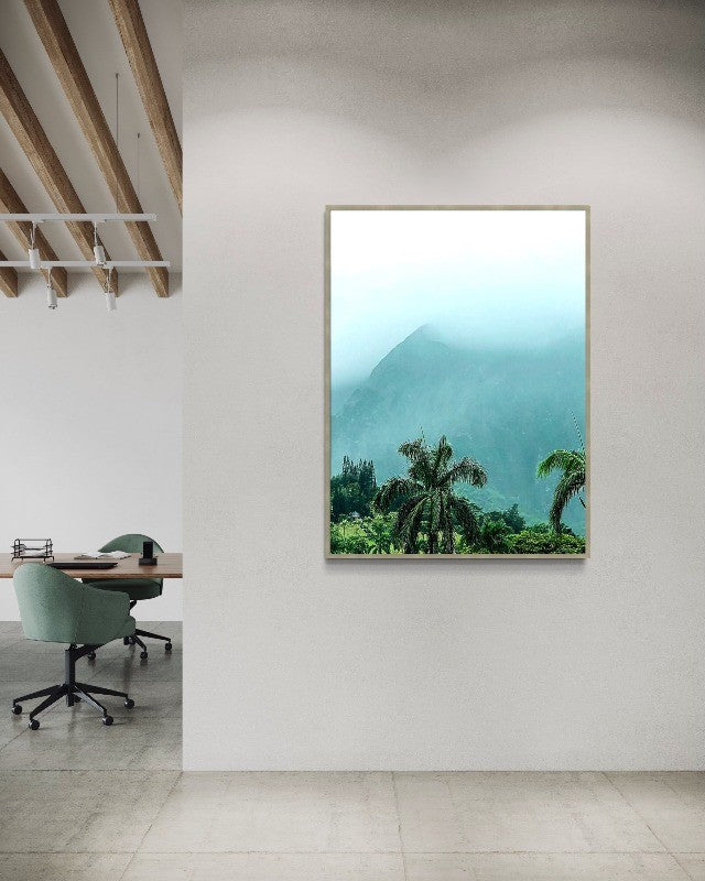 Kaneohe Fog