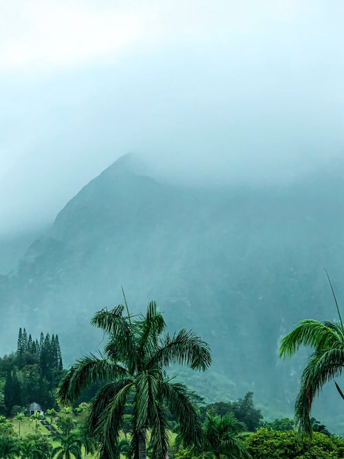 Kaneohe Fog - Photography by Laura Ramirez