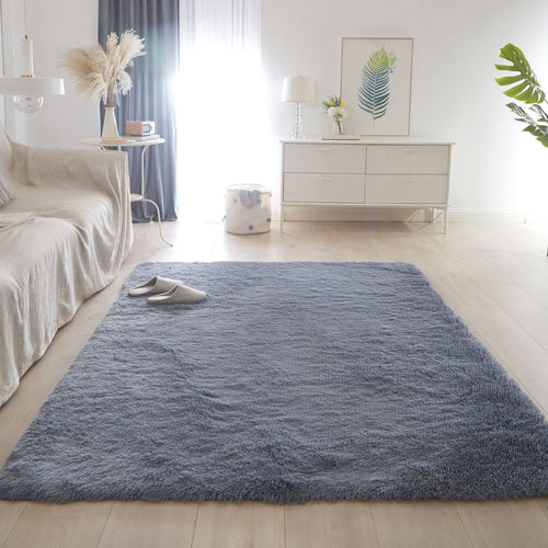 Furry Plush Non-Slip Carpet