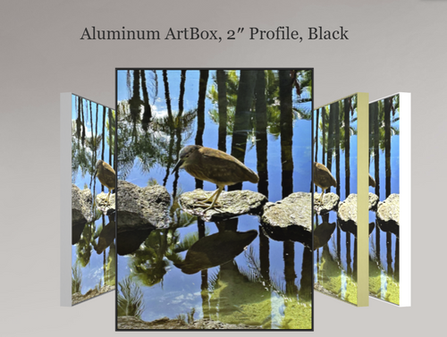 Nature's Reflection