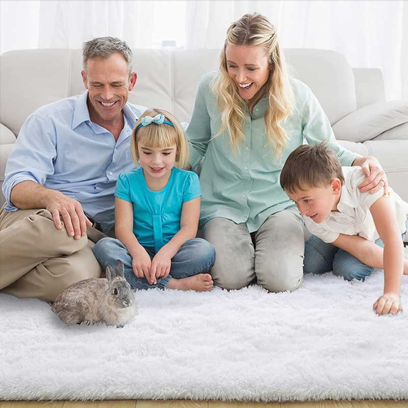 Furry Plush Non-Slip Carpet