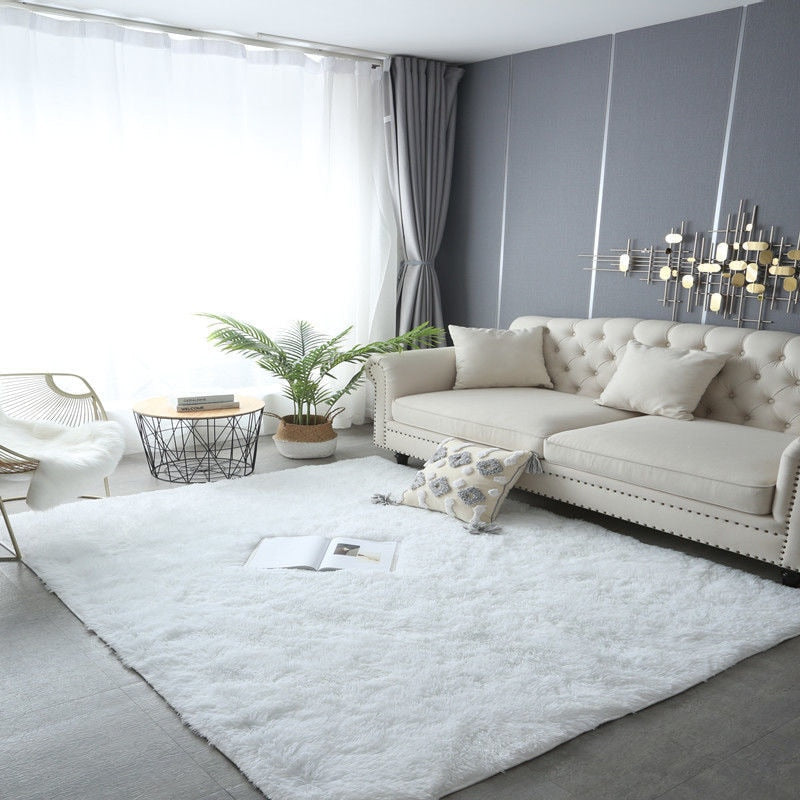 Furry Plush Non-Slip Carpet