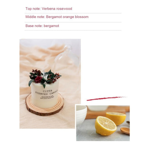Scented Aromatherapy Candles With Infused Ingredients