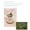 Scented Aromatherapy Candles With Infused Ingredients